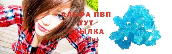 прущие крисы Киренск