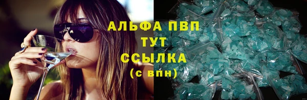 прущие крисы Киренск